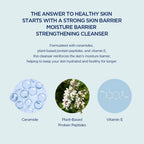 SKIN1004 Madagascar Centella Hyalu-Cica Gentle Cleansing Milk 200ml