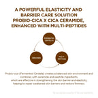 SKIN1004 Madagascar Centella Probio-Cica Nourishing Mask 22ml